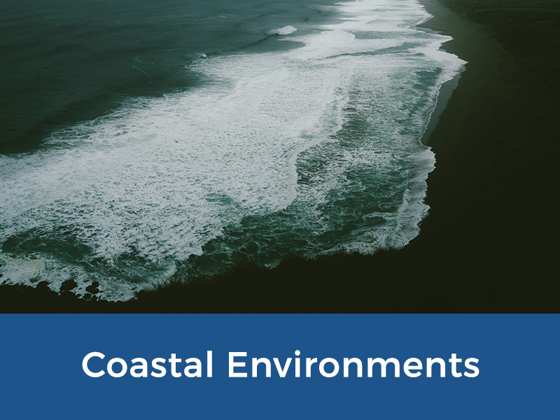 Martens - Environmental Services - Coastal Environments