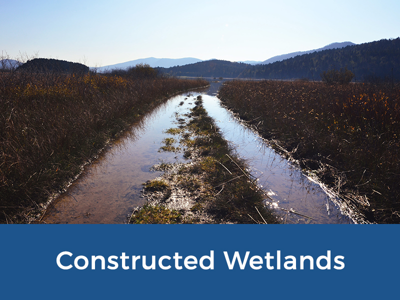 Martens - Environmental Services - Constructed Wetlands