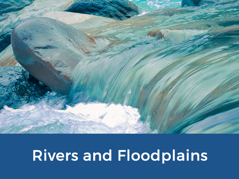 Martens - Environmental Services - Rivers and Floodplains