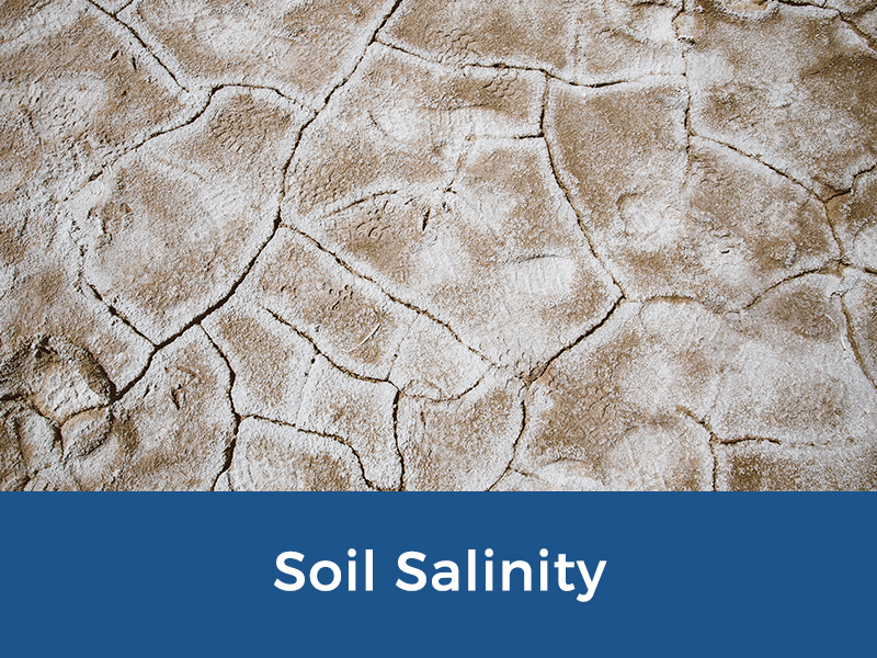 Martens - Environmental Services - Soil Salinity