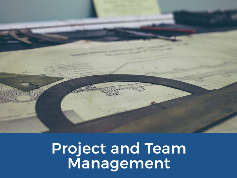 Martens - Project Management - Project and Team Management